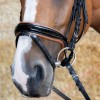 Harry's Horse Bridle Black Cognac