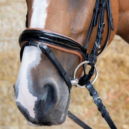Harry's Horse уздечка чёрный Cognac