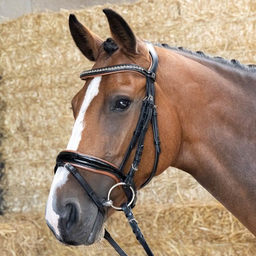 Harry's Horse Bridle Black Cognac
