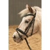 Harry's Horse FW25 Bridle Stout!