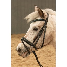 Harry's Horse FW25 уздечка Stout!
