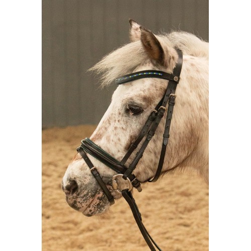 Harry's Horse FW25 Bridle Stout!