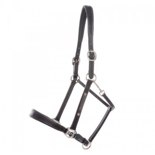 Kavalkade Leather Halter Bennet