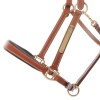 Kavalkade Leather Halter Bennet