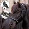 Kavalkade Icelandic Horse Halter Freydis