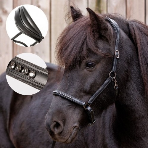 Kavalkade Icelandic Horse Halter Freydis