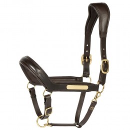 Harry's Horse Anatomic кожаный недоуздок II