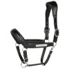 Harry's Horse Anatomic Leather Halter II