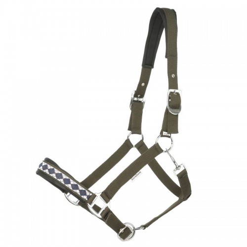 Cavalcade Halter Classic