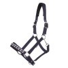 Cavalcade Halter Classic
