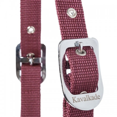 Cavalcade Halter Classic
