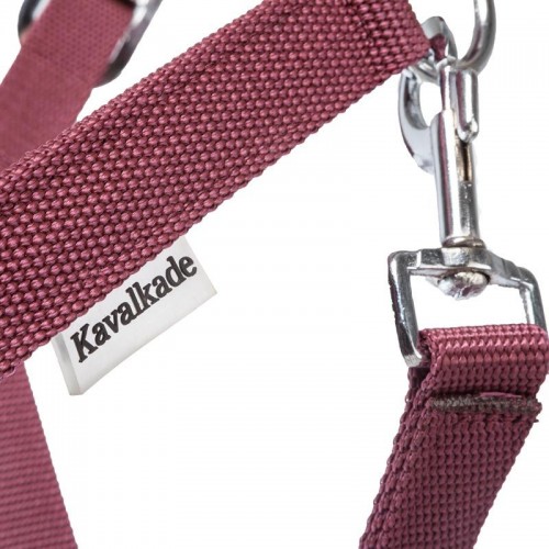 Cavalcade Halter Classic