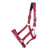 Kavalkade Coldblood Halter Classic Simple
