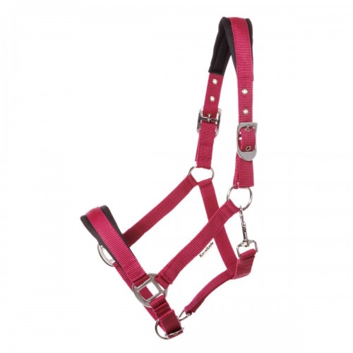 Kavalkade Coldblood Halter Classic Simple