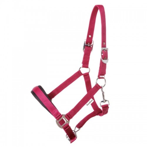 Kavalkade Icelandic Halter Classic Simple