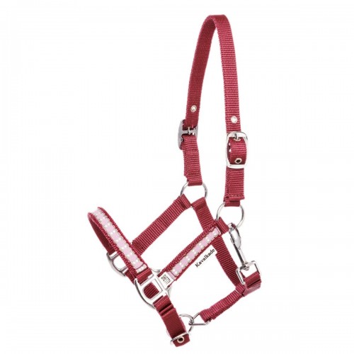 Kavalkade Halter Dottsi
