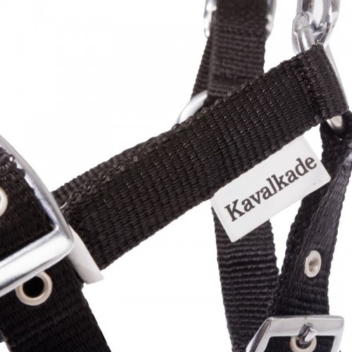 Kavalkade Veulenhalster Stripe