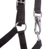 Kavalkade Veulenhalster Stripe