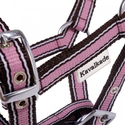 Kavalkade Veulenhalster Stripe