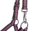 Kavalkade Veulenhalster Stripe