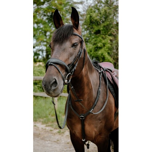 NORTON Bridle Endurance Pop