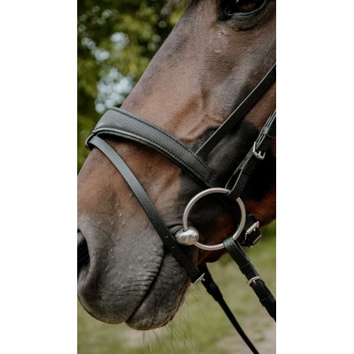 NORTON Bridle Endurance Pop