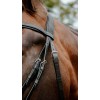 NORTON Bridle Endurance Pop