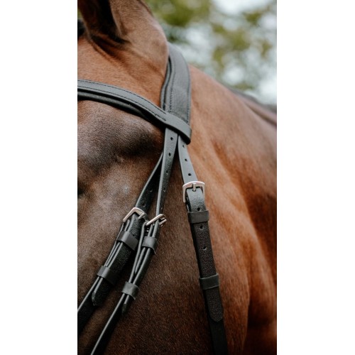 NORTON Bridle Endurance Pop