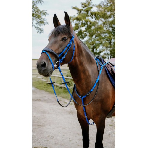 NORTON Bridle Endurance Pop