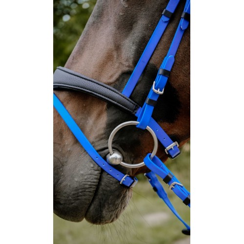NORTON Bridle Endurance Pop