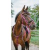 NORTON Bridle Endurance Pop