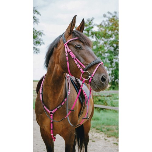 NORTON Bridle Endurance Pop