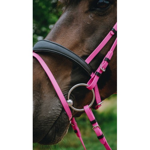 NORTON Bridle Endurance Pop
