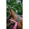 NORTON Bridle Endurance Pop