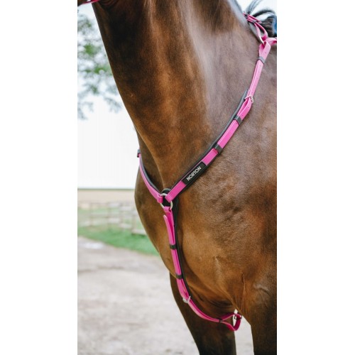 NORTON Breastplate Endurance Pop