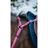 NORTON Breastplate Endurance Pop