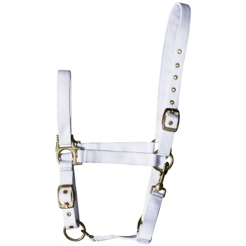 Harry's Horse Halter 3-way adjustable