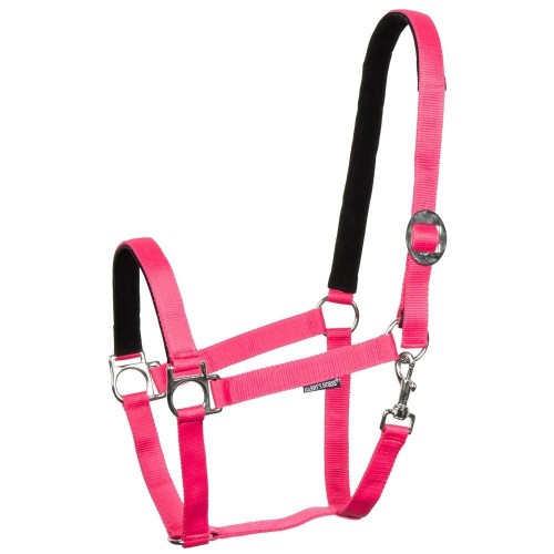 Harry's Horse Padded Halter