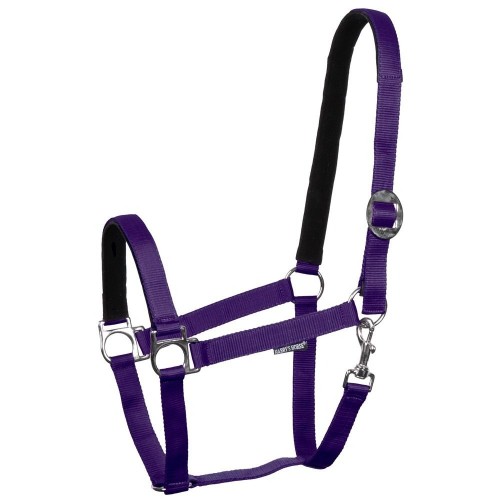 Harry's Horse Padded Halter