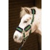 Harry's Horse FW25 Halterset Soft Stout!