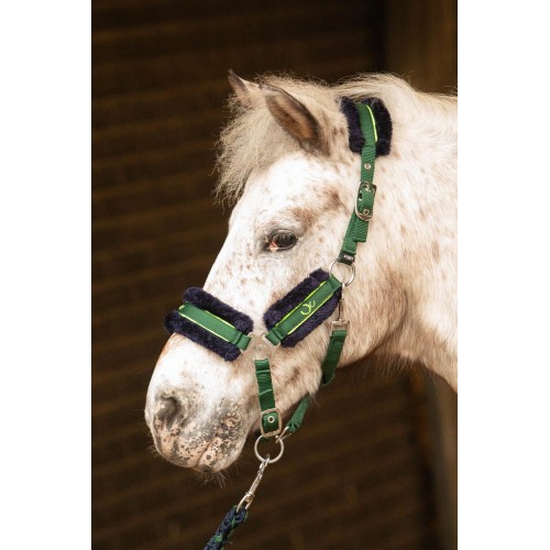 Harry's Horse FW25 Halterset Soft Stout!