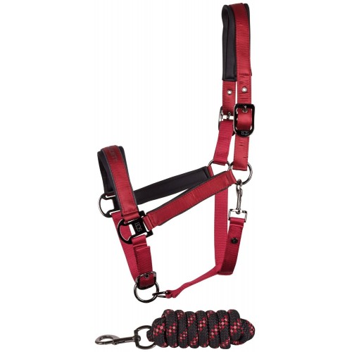 Harry's Horse FW25 Halter Set Satin Eli
