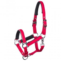 Harry's Horse SS26 жеребёнок недоуздок Metal