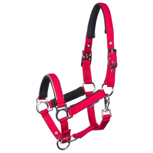 Harry's Horse SS26 Foal Halter Metal
