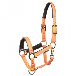 Harry's Horse SS26 жеребёнок недоуздок Metal