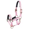 Harry's Horse SS26 Foal Halter Metal