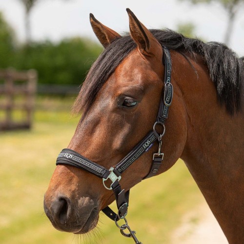 Harry's Horse SS26 Halter Set Equestrian Society