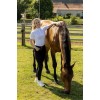 Kentucky Show Shirt Women Classic Short Sleeve
