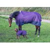 Harry's Horse FW'24 Thor Rain Sheet 0g