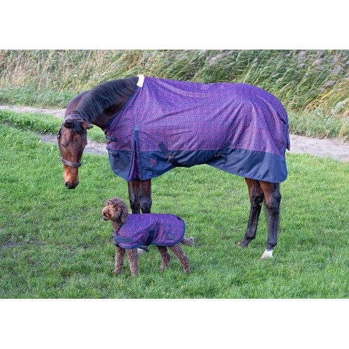 Harry's Horse FW'24 Thor Rain Sheet 0g